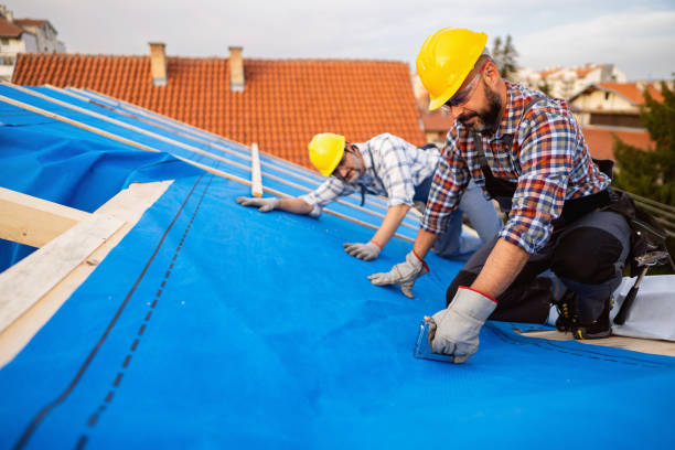 Best Gutter Installation and Roofing  in Daly City, CA