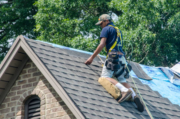 Best Emergency Roof Repair  in Daly City, CA