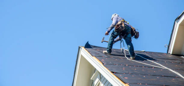 Best Storm Damage Roof Repair  in Daly City, CA